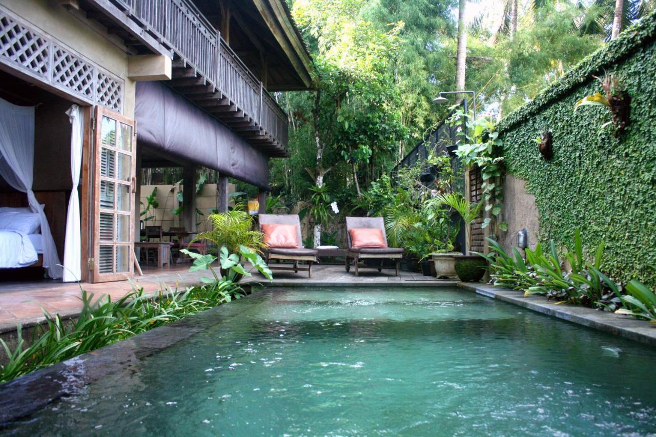 Artist Eco Villa In Ubud Exteriér fotografie