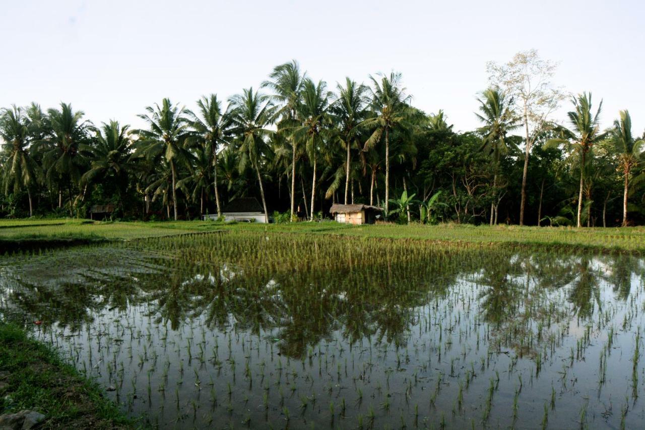 Artist Eco Villa In Ubud Exteriér fotografie